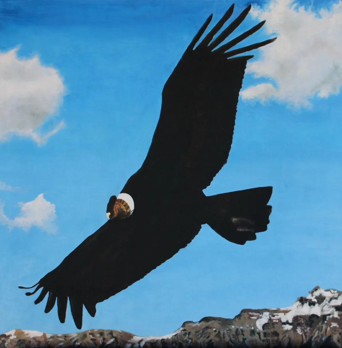 Painting of an Andean condor gliding with wings outstretched against a blue sky above snow-dusted peaks.