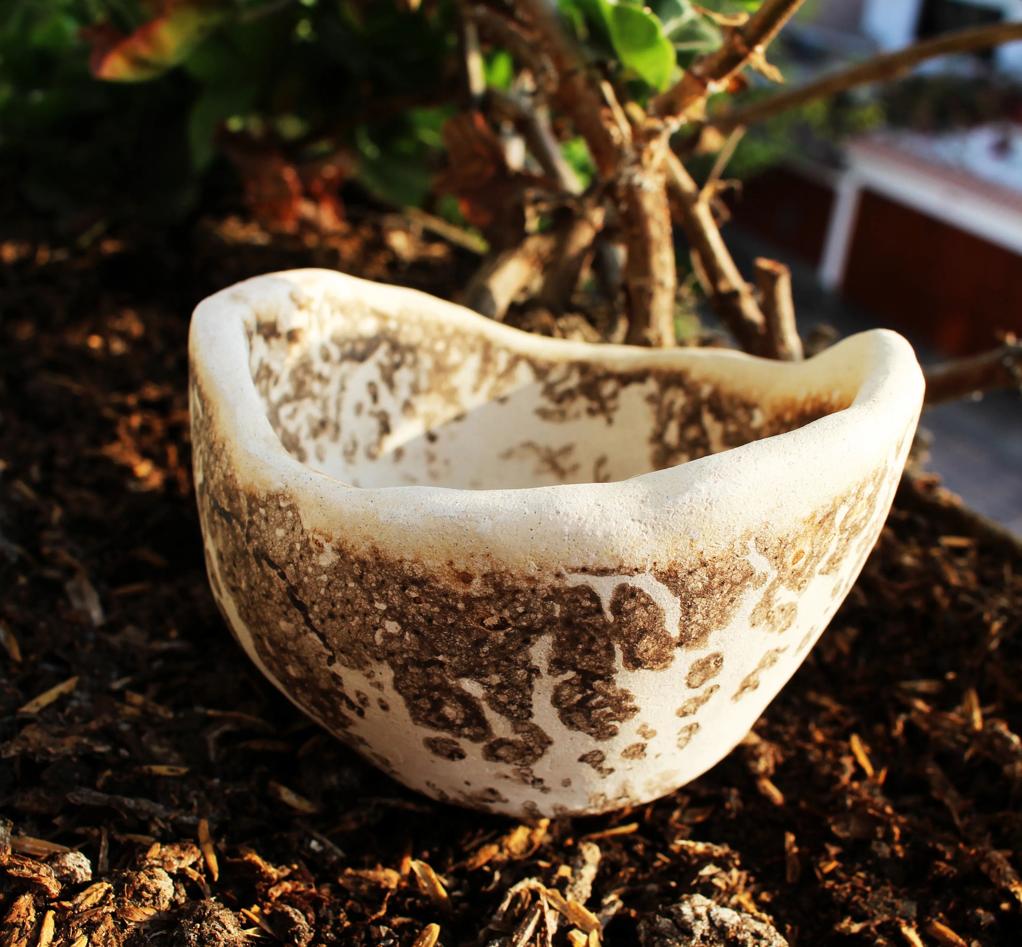 Cream stoneware bowl with an undulating rim and mottled brown patina, photographed outdoors in soil beside a bonsai.