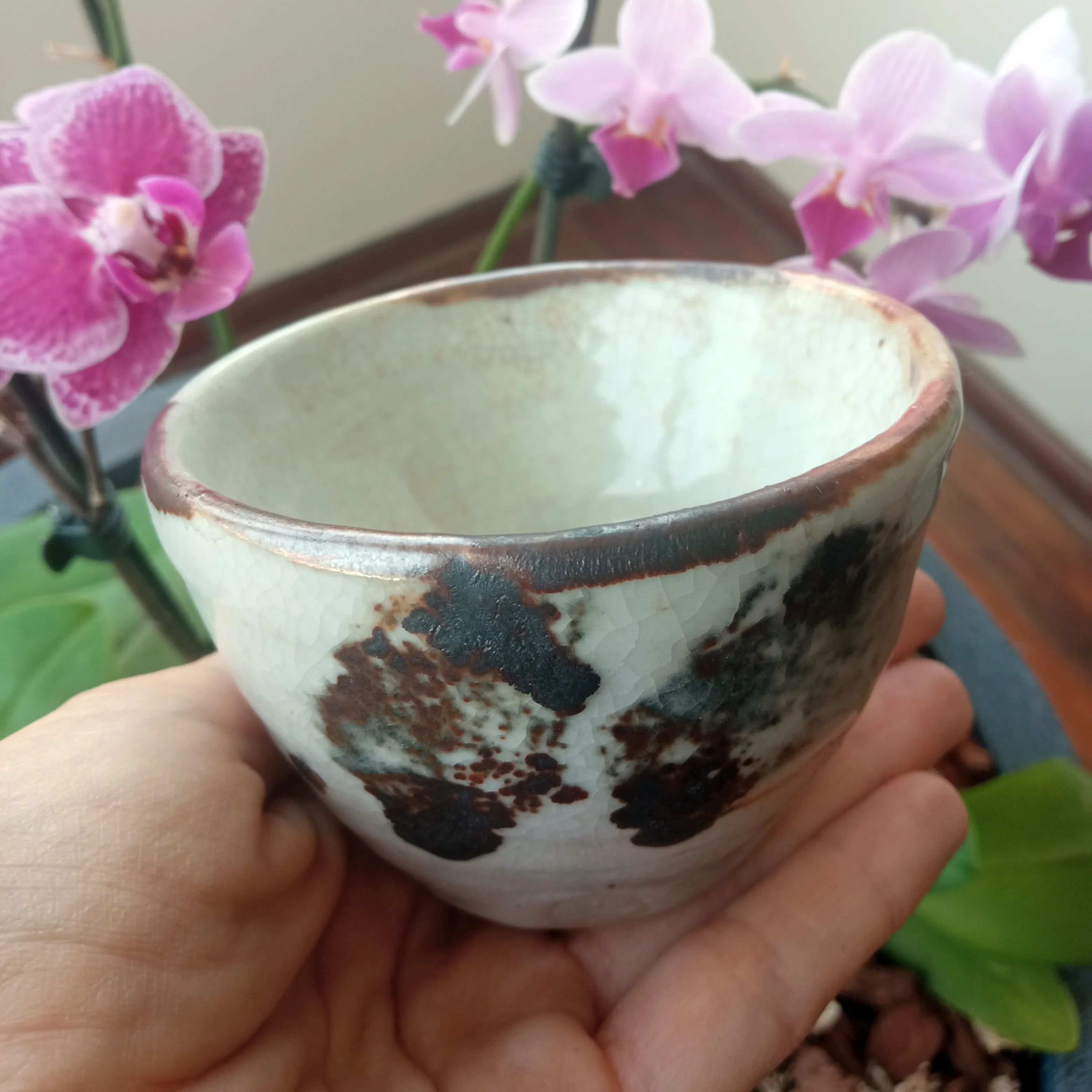 White glazed tea bowl with dark brown and black brushed markings, held in a hand in front of pink orchids.