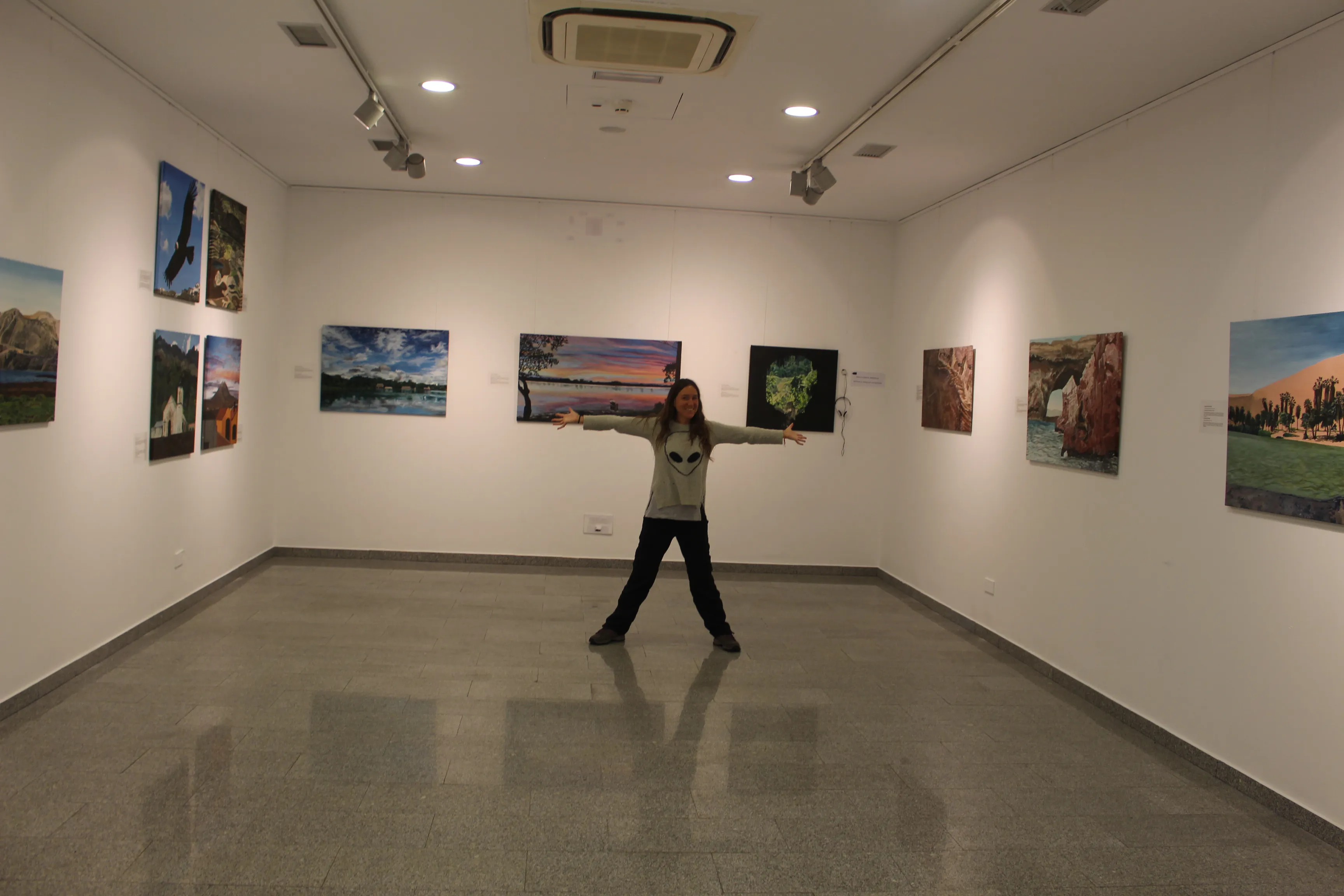 Wide view of the Cervantes gallery in Bucharest with Ximena Heraud's Peruvian landscape paintings hung around a bright white room